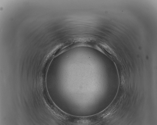 X0000068830444200605121345