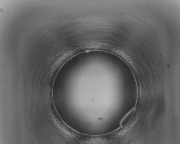 X0000068830445200605121345