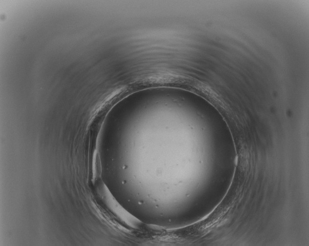 X0000068830446200605121345