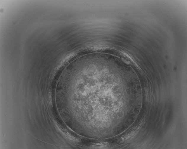 X0000068830447200605121345