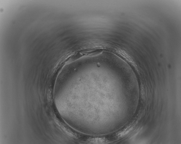 X0000068830449200605121345