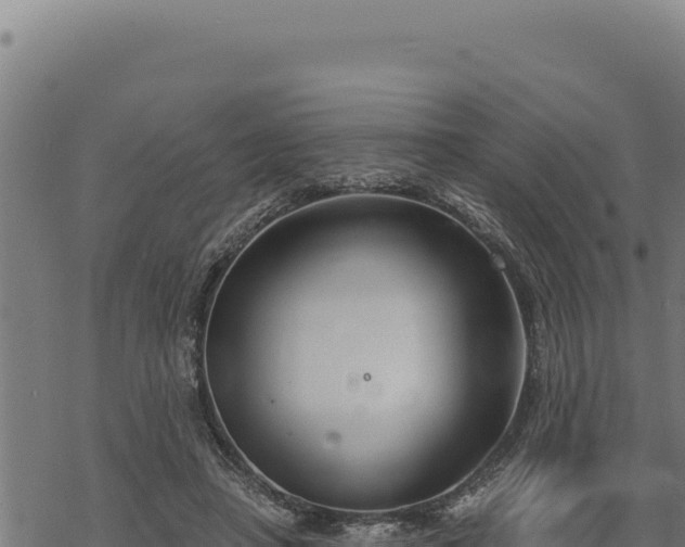 X0000068830450200605121345