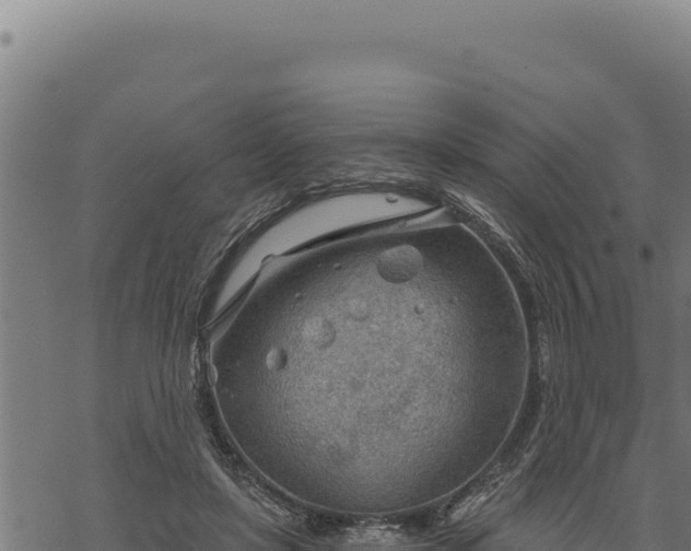 X0000068830451200605121345