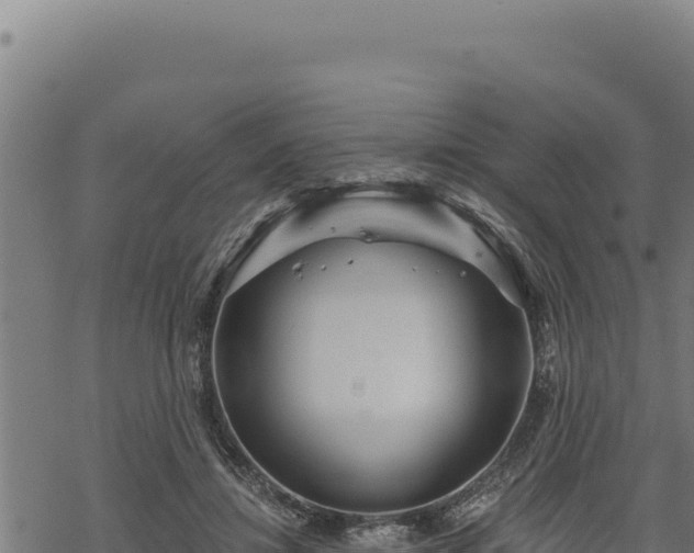 X0000068830452200605121345