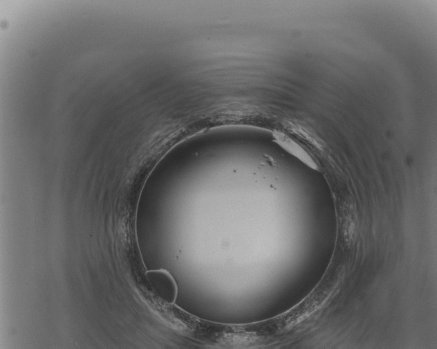 X0000068830455200605121345