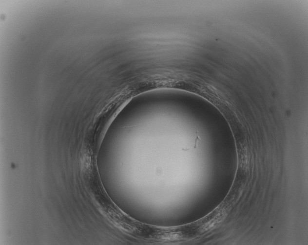 X0000068830456200605121345