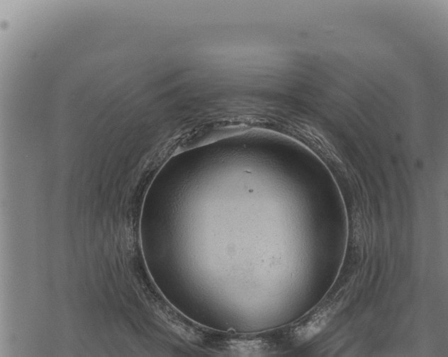 X0000068830457200605121345