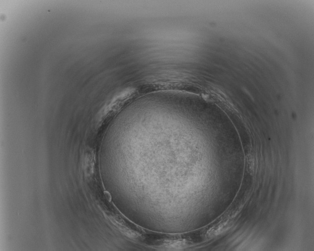 X0000068830458200605121345