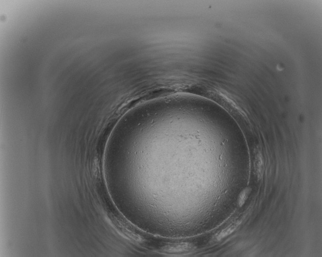 X0000068830459200605121345