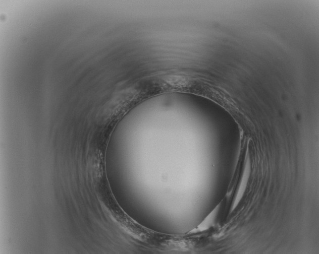 X0000068830464200605121345