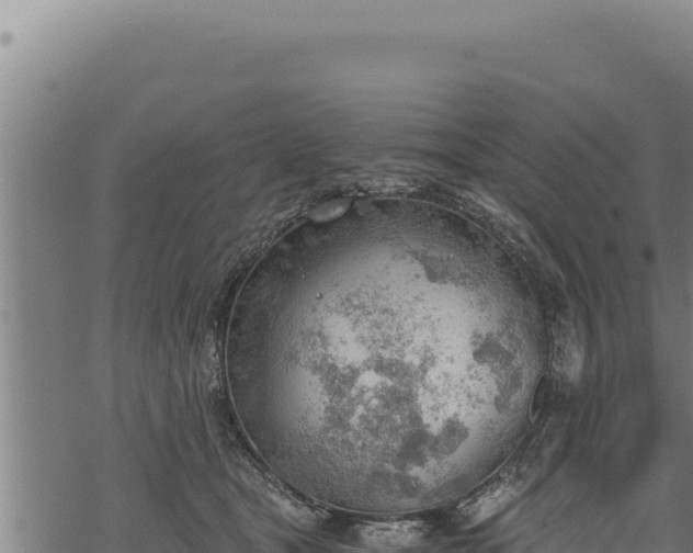 X0000068830465200605121345