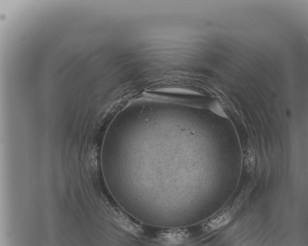 X0000068830466200605121345