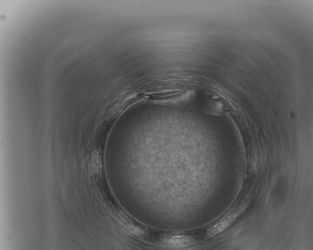 X0000068830467200605121345