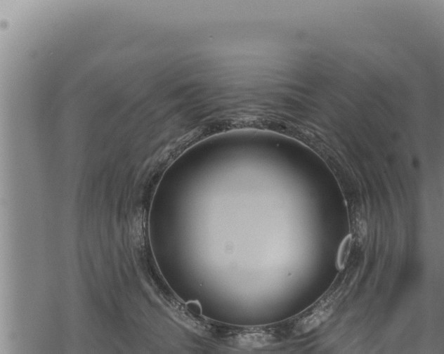 X0000068830468200605121346