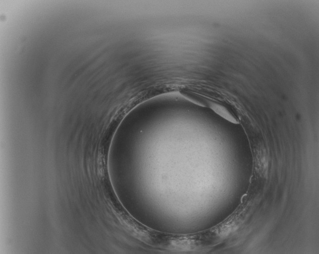 X0000068830470200605121346