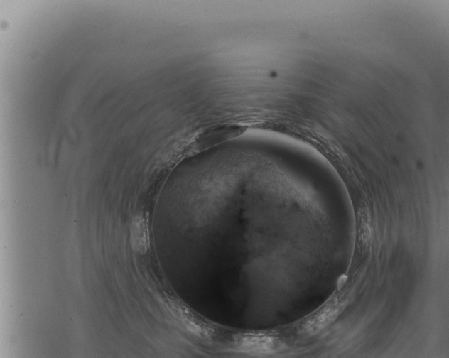 X0000068830471200605121346