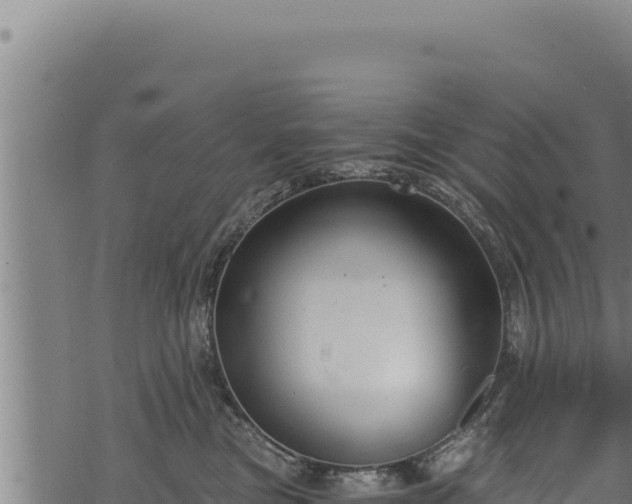 X0000068830473200605121346