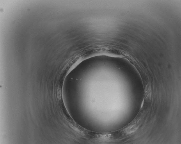 X0000068830474200605121346