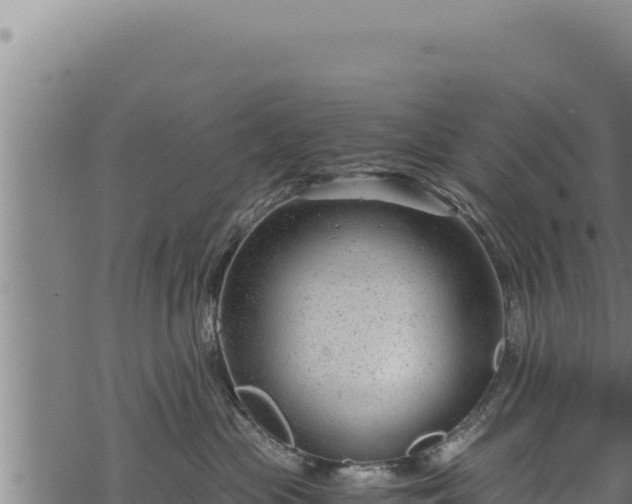 X0000068830477200605121346