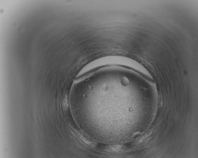 X0000068830479200605121346