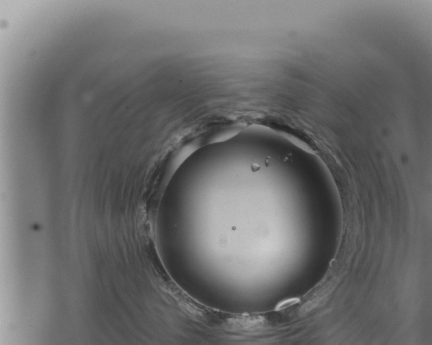 X0000068830480200605121346