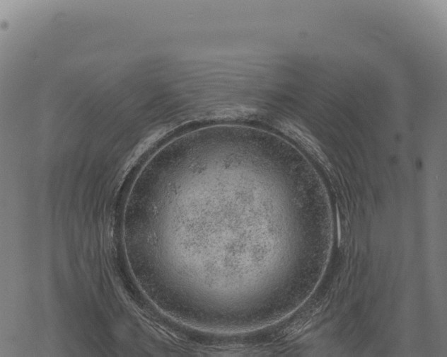 X0000068830483200605121345