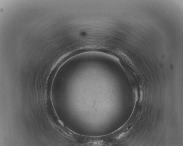 X0000068830484200605121345