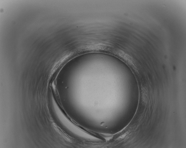 X0000068830486200605121345