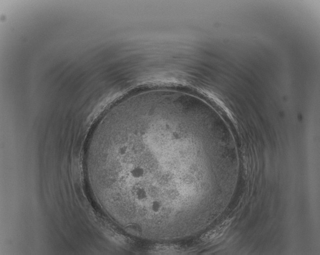 X0000068830487200605121345