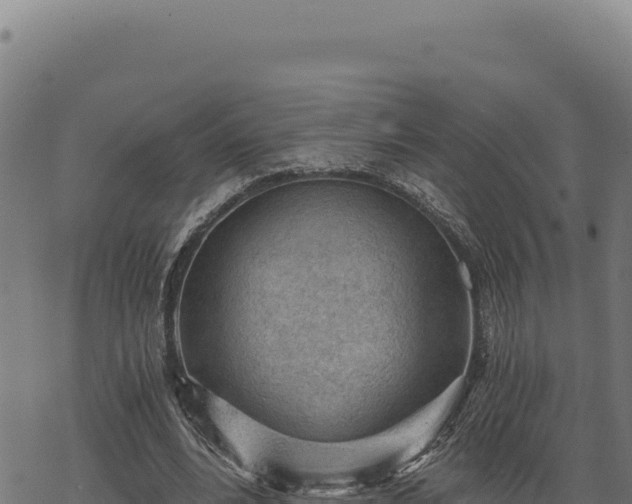 X0000068830488200605121345