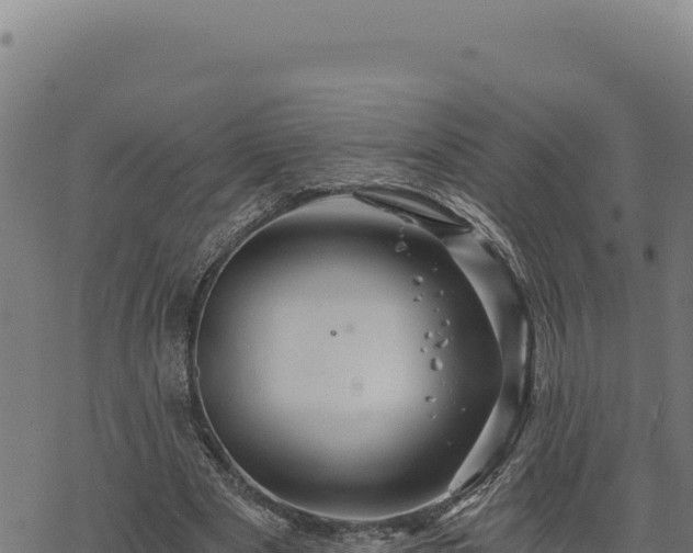 X0000068830489200605121345