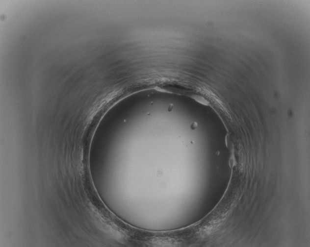 X0000068830490200605121345