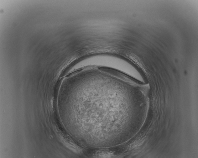 X0000068830491200605121345