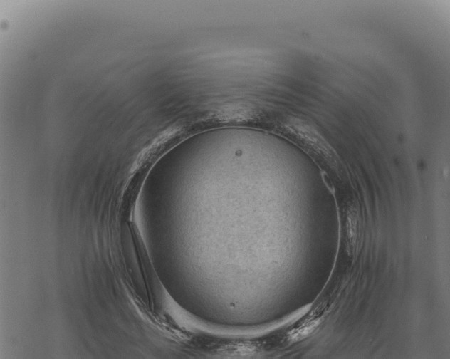 X0000068830492200605121345