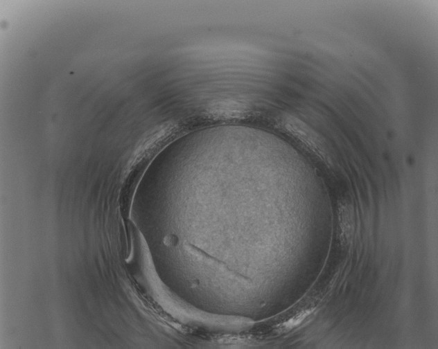 X0000068830494200605121345