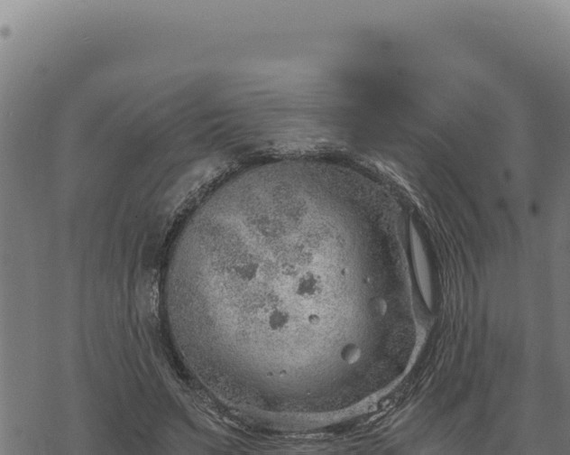 X0000068830495200605121345