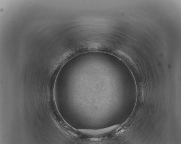 X0000068830496200605121345