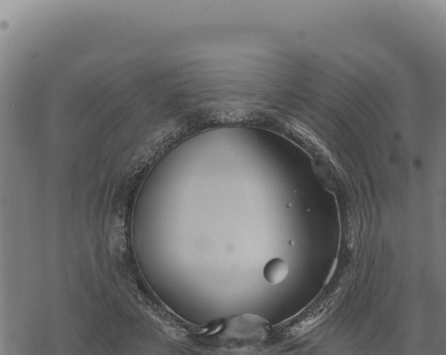 X0000068830497200605121345