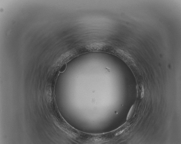 X0000068830498200605121345