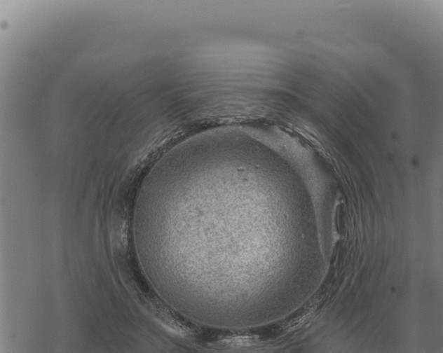 X0000068830499200605121345