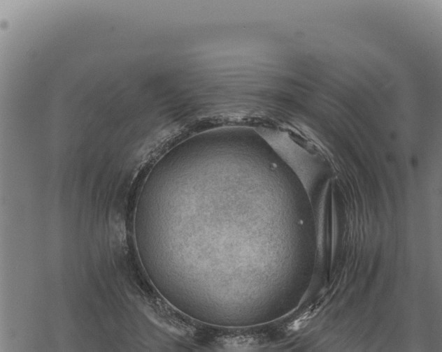 X0000068830500200605121345