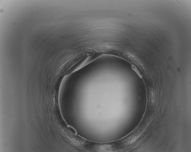 X0000068830501200605121345