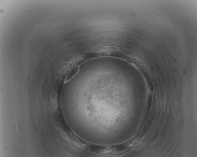 X0000068830504200605121345