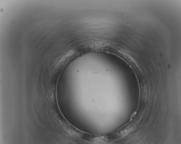 X0000068830505200605121345