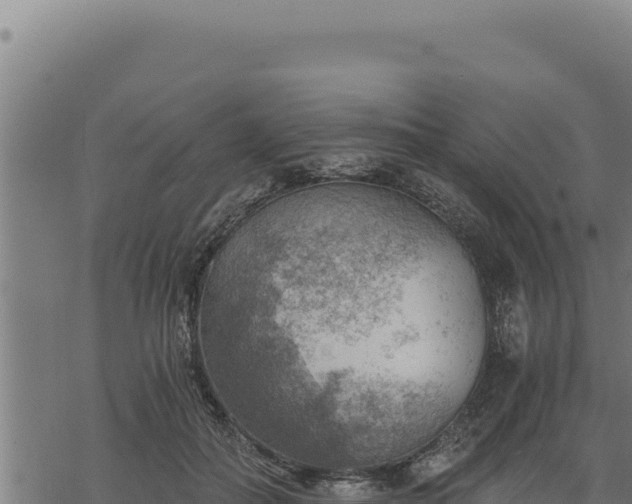 X0000068830506200605121345