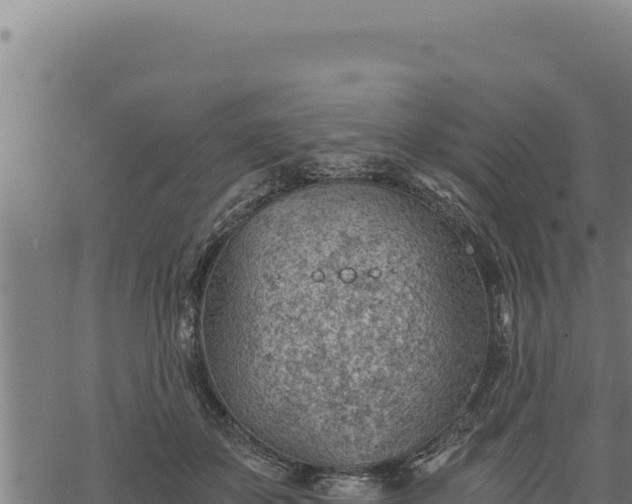 X0000068830507200605121345