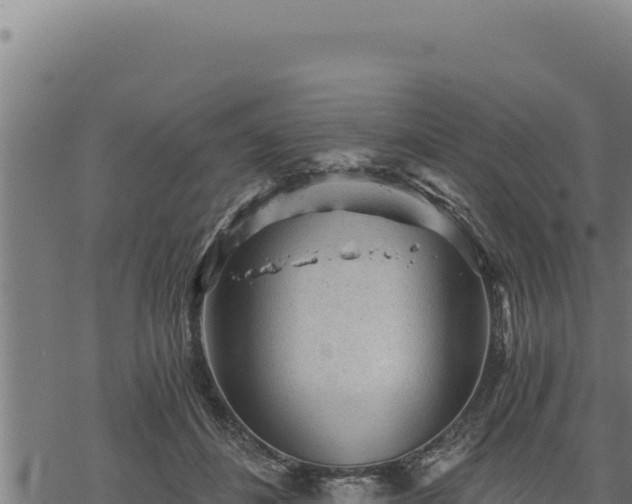 X0000068830508200605121345