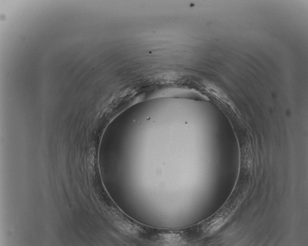 X0000068830509200605121344