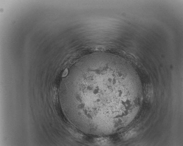 X0000068830511200605121344