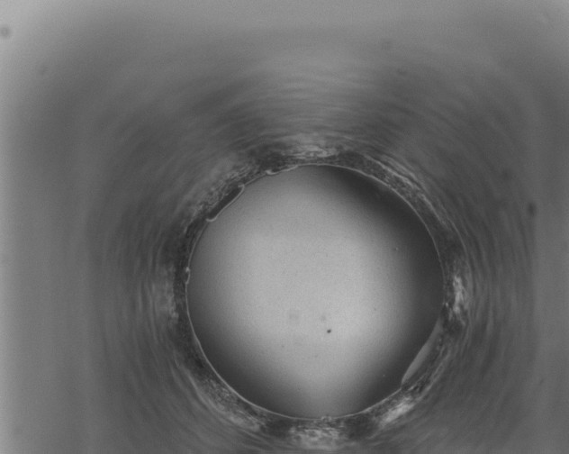 X0000068830512200605121344